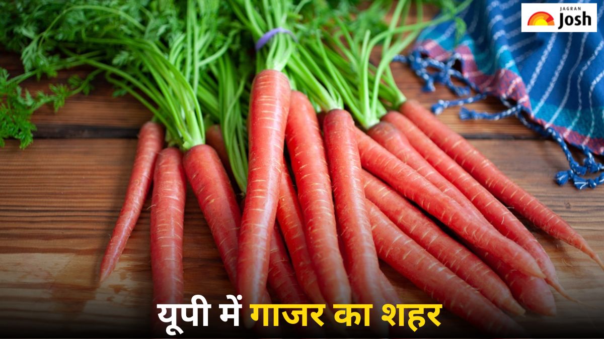 उत्तर प्रदेश का कौन-सा जिला कहलाता है ‘गाजर का शहर’ और क्यों, यहां जानें