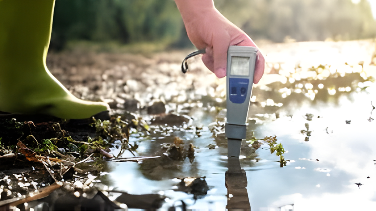 Top 10 States in India with Best Water Quality