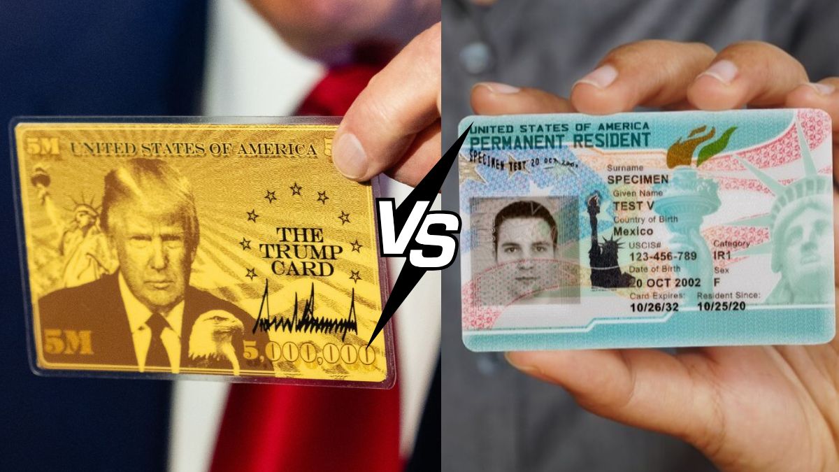 Gold Card Vs Green Card: Check All the Key Differences