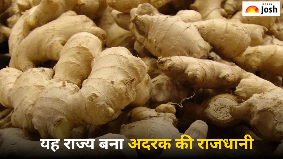 हाल ही में कौन-सा राज्य भारत की अदरक राजधानी बना है, जानें यहां