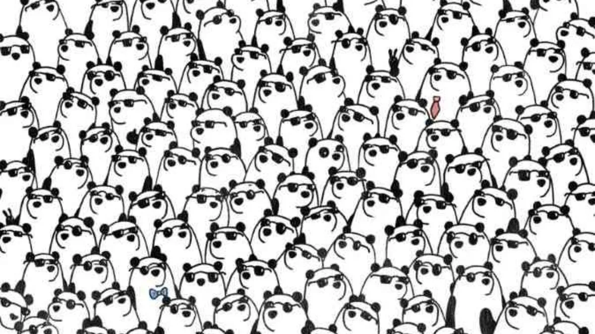 Find three hidden pandas without sunglasses!