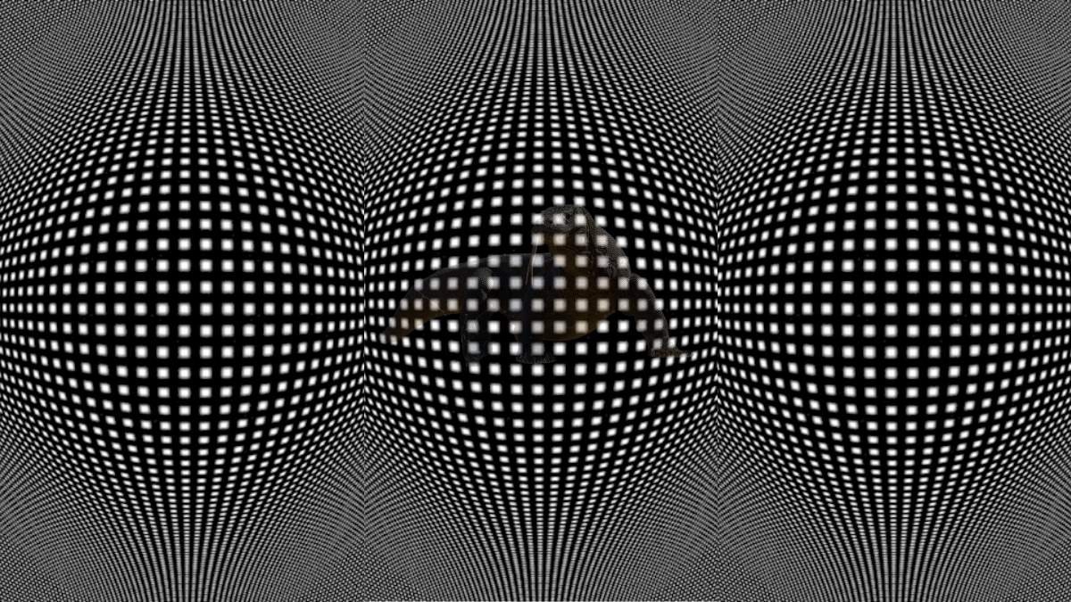 Using Your Visual Perception, Can You Find the Hidden Animal in this 3D Bulging Wave-Like Optical Illusion?
