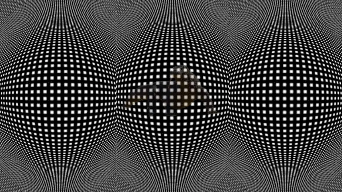 Find the Hidden Animal in this 3D Bulging Wave-Like Optical Illusion