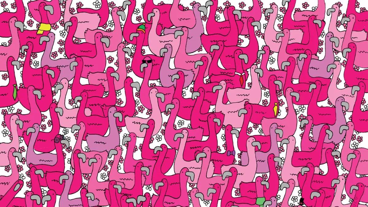 Find the tiny heart!