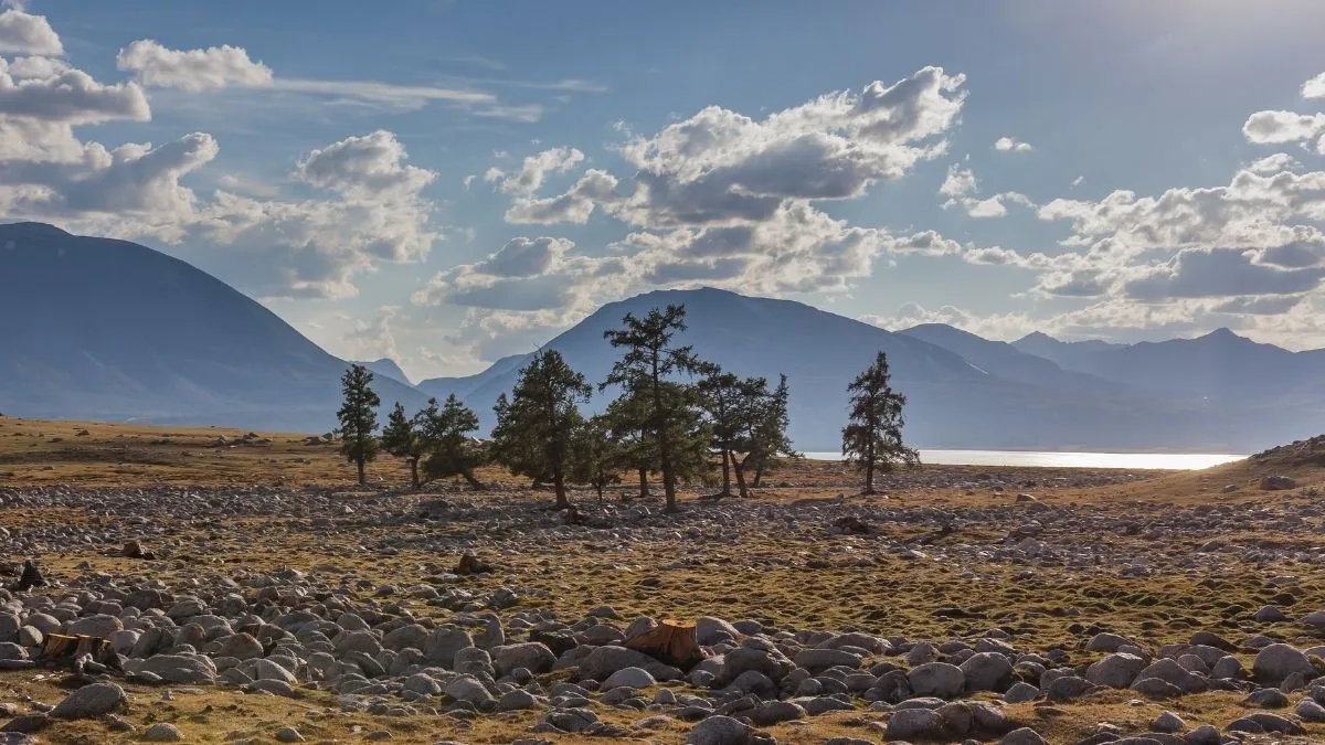 Driest State in U.S.