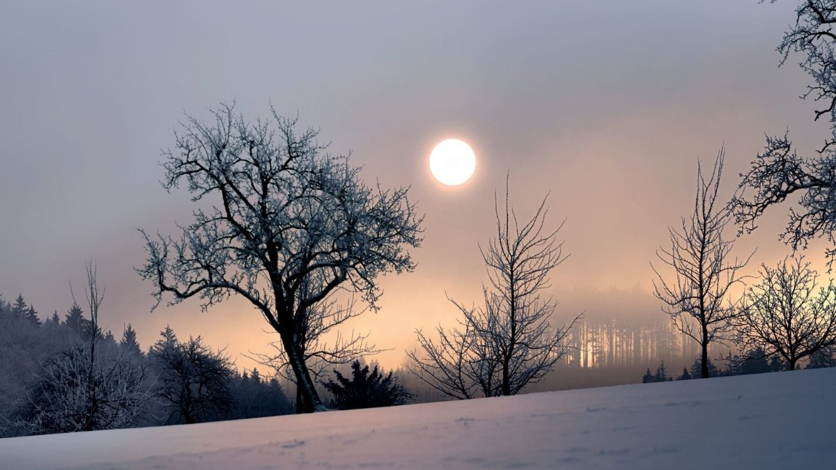 What is the Shortest Day of the Year? Check Winter Solstice 2025!
