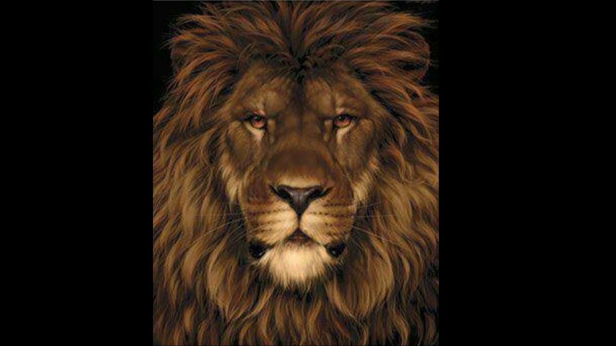 Only the Top IQ Geniuses can find the Hidden Rat in this Lion