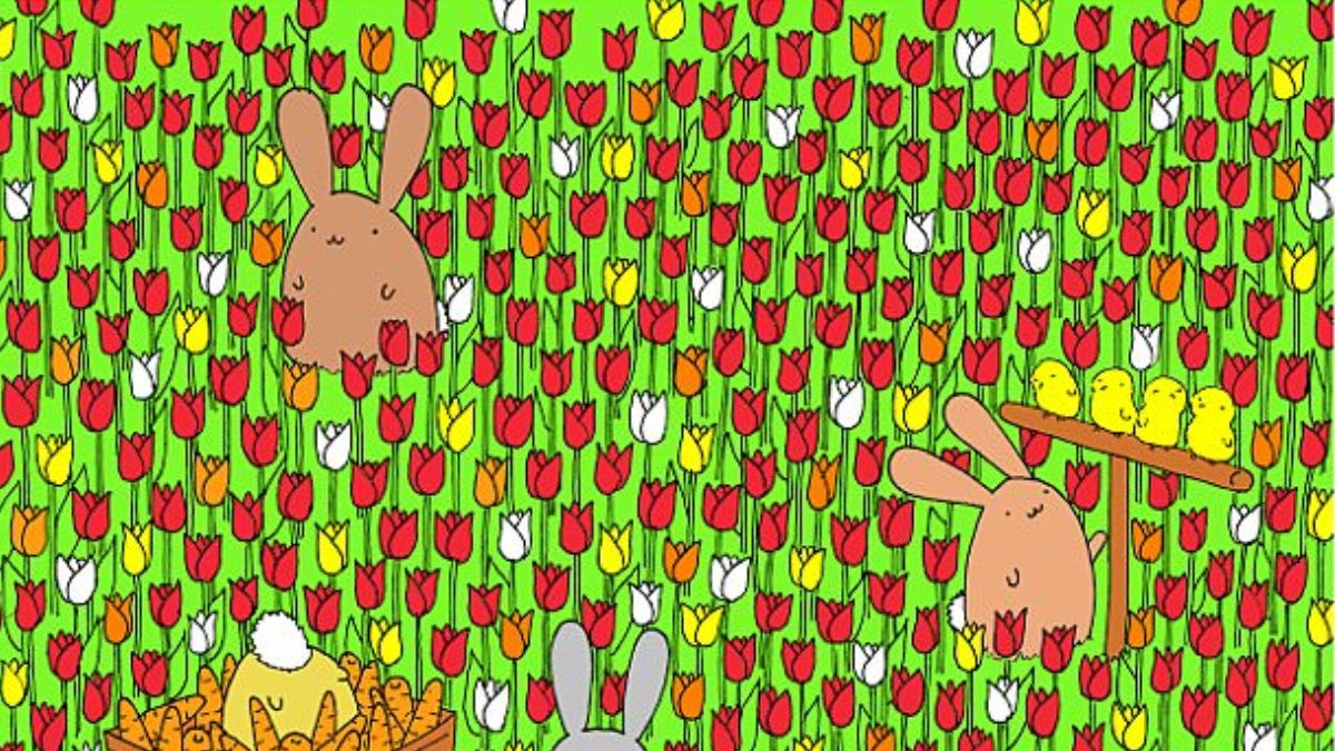Only 1 In 100 With Sharpest Eyes Can Spot The Hidden Easter Egg In 35 Seconds!
