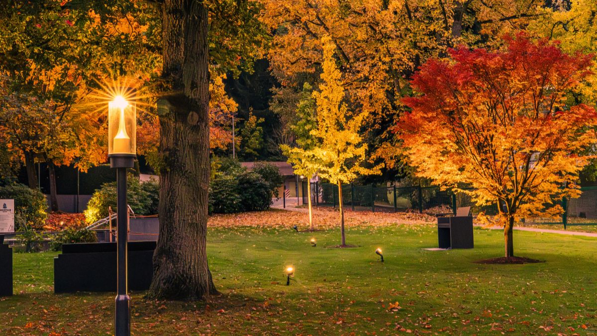 Which is the Largest Park in the World?