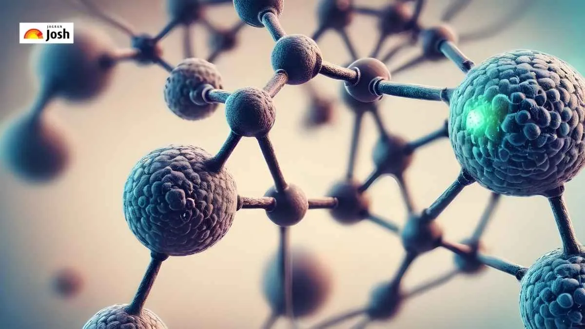 Which Engineering Branch is called the Universal Engineer?