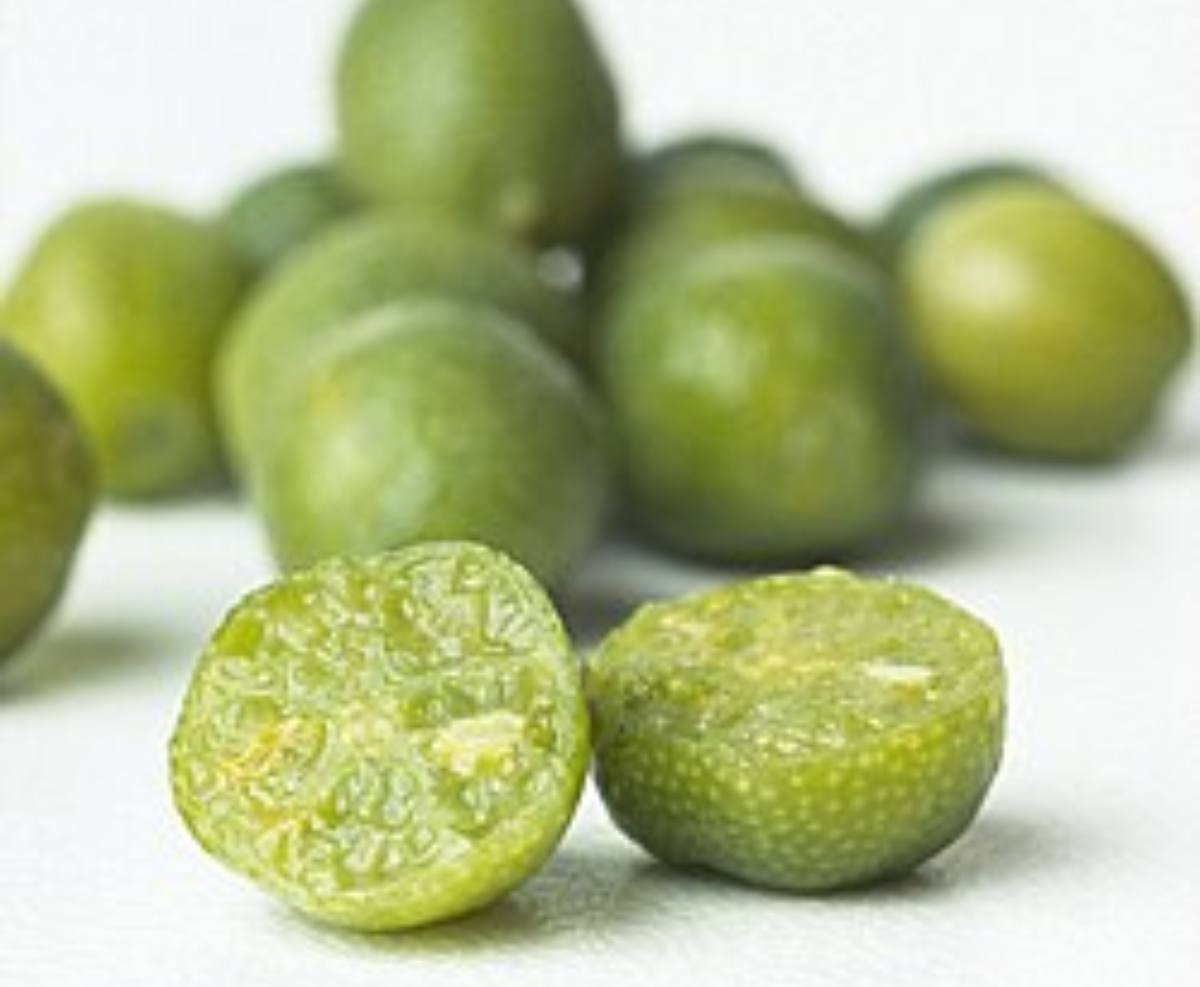 Desert Lime (1)