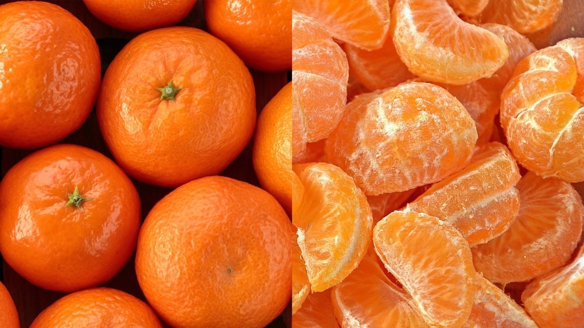 Which U.S. State Produces the Most Oranges? Check List Here!