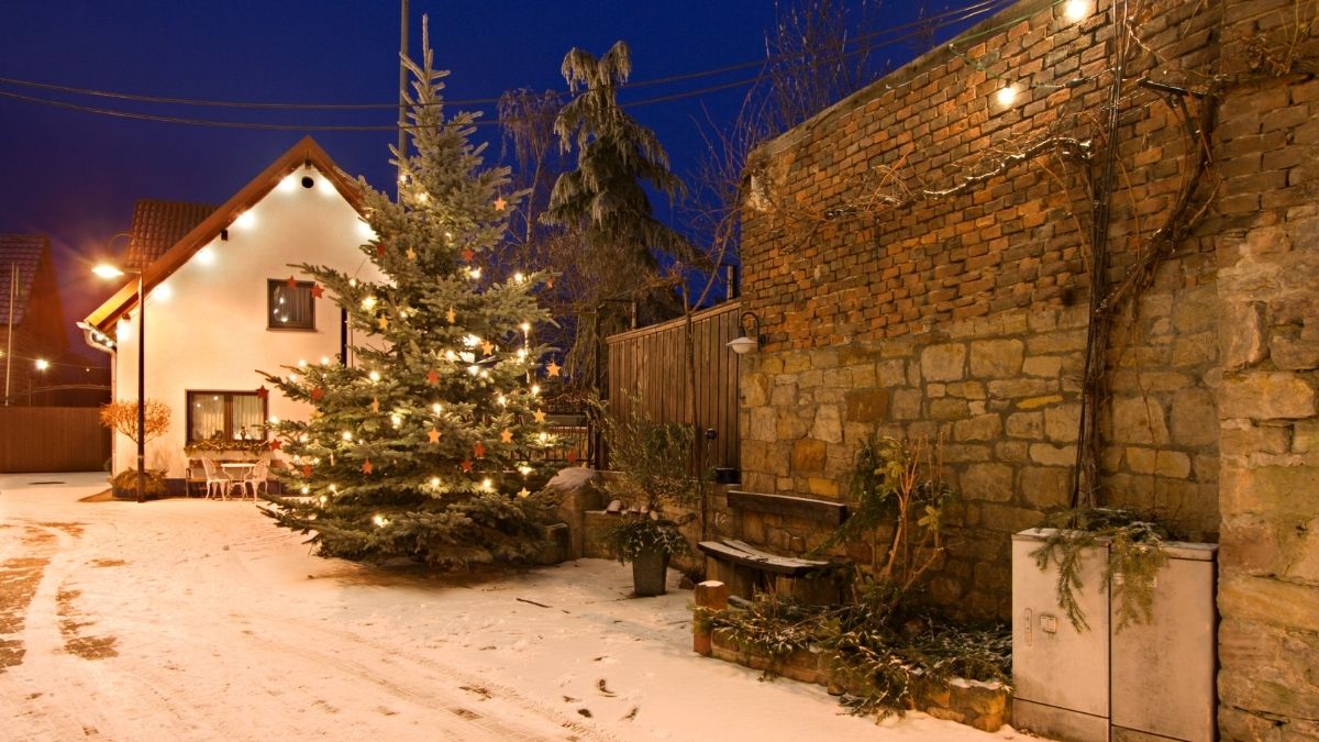 Chance of White Christmas 2025: Which U.S. States Will See Snow on Christmas?