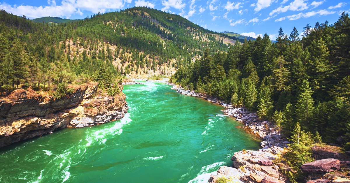 Which River Is Known As The Gold River Of India?