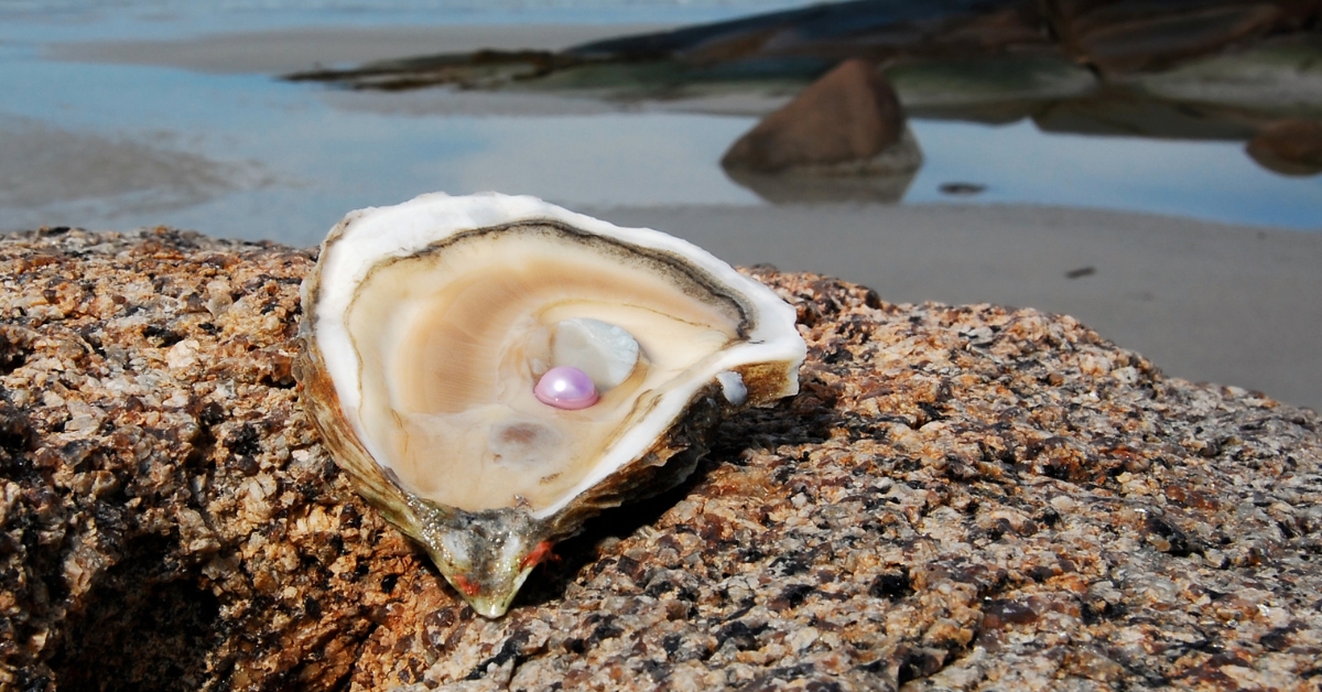 Which Island is Known as the Pearl of the Orient Seas?