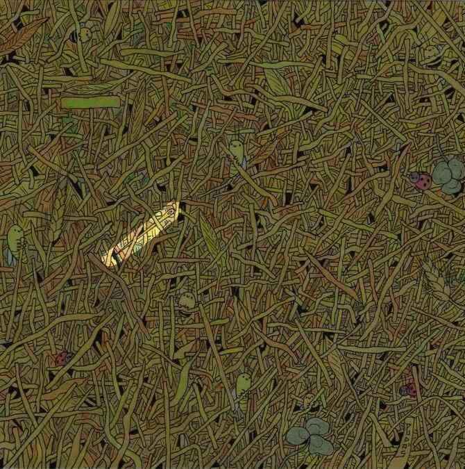 hidden optical illusions with answers