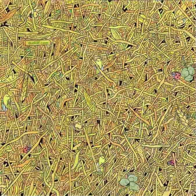 hidden optical illusions with answers