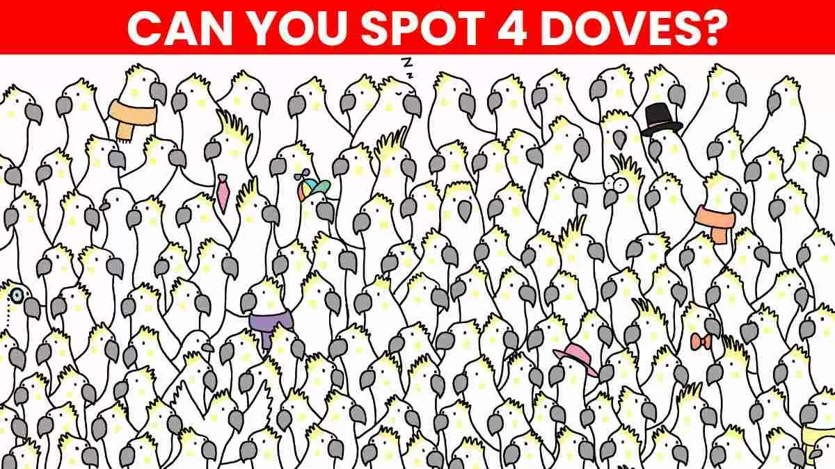 Spot the 4 Doves Hiding Among the Cockatoos in 5 Seconds!
