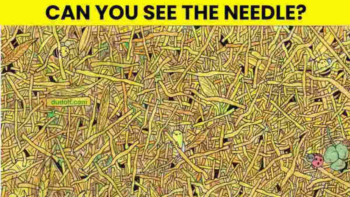 Optical Illusion IQ Test: This Needle In A Haystack Is The Trickiest Puzzle On The Internet! You Have 5 Seconds To Find It!