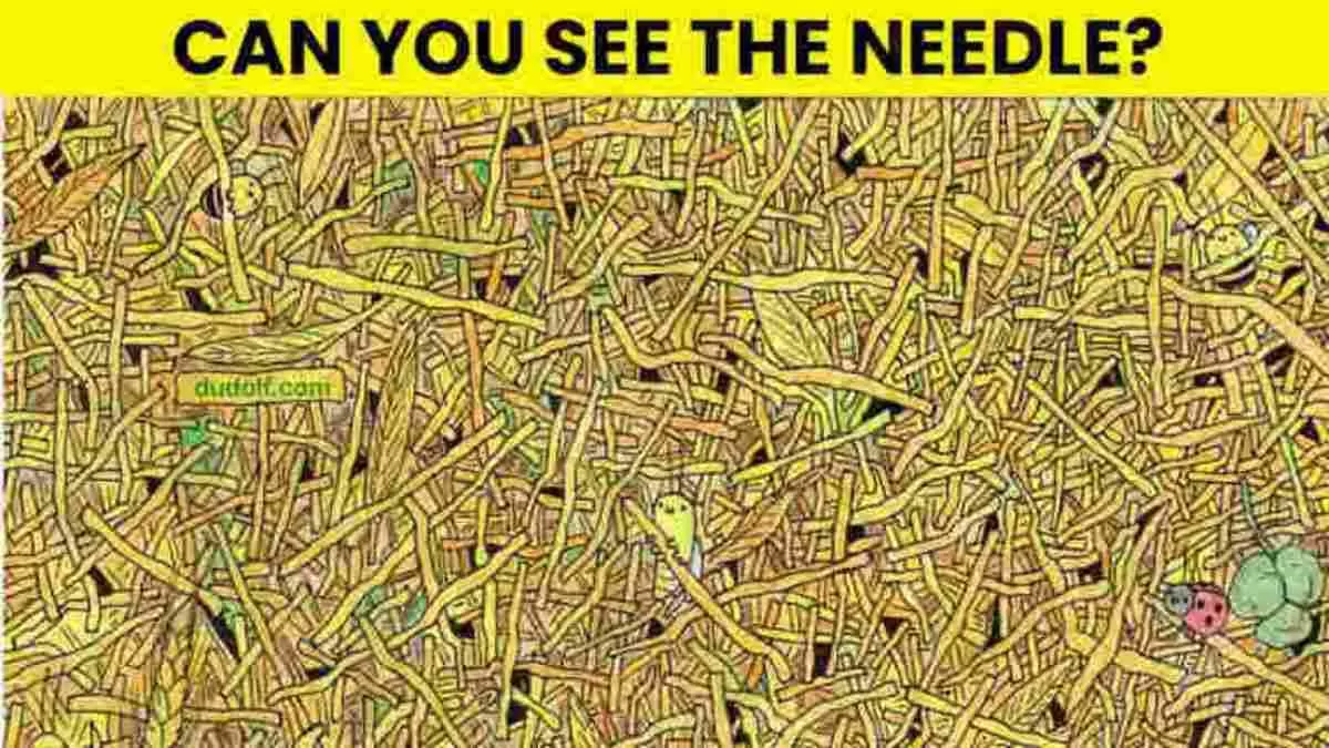 Optical Illusion IQ Test: If You Can Spot The Needle, You Have Vision Sharper Than An Eagle!