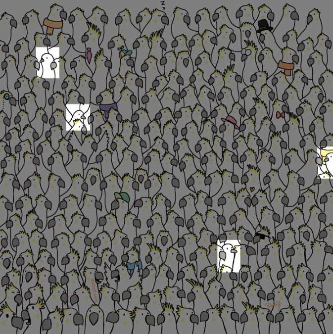 hidden picture puzzles with answers