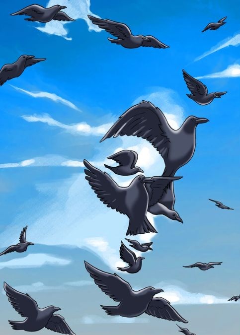 hidden optical illusions with answers
