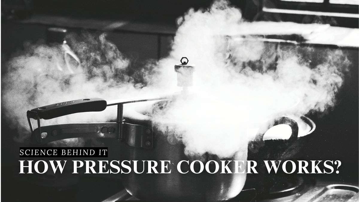 Science Behind It: How Pressure Cooker Works?