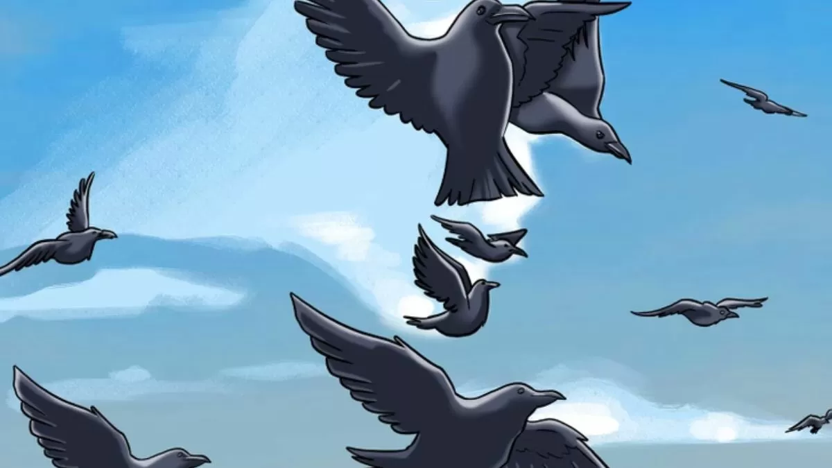 Can you find the hidden face among the birds in 5 seconds?