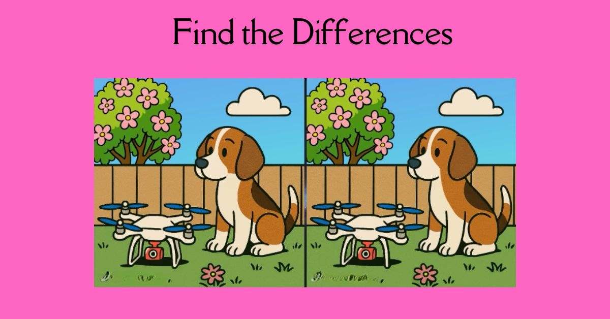 Spot the 3 Differences in Dog Watching a Drone– Beat the 27-Second Challenge!