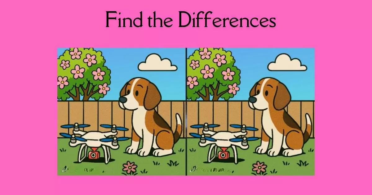 Spot the 3 Differences in Dog Watching a Drone