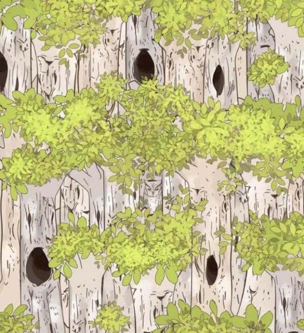 hidden optical illusions with answers