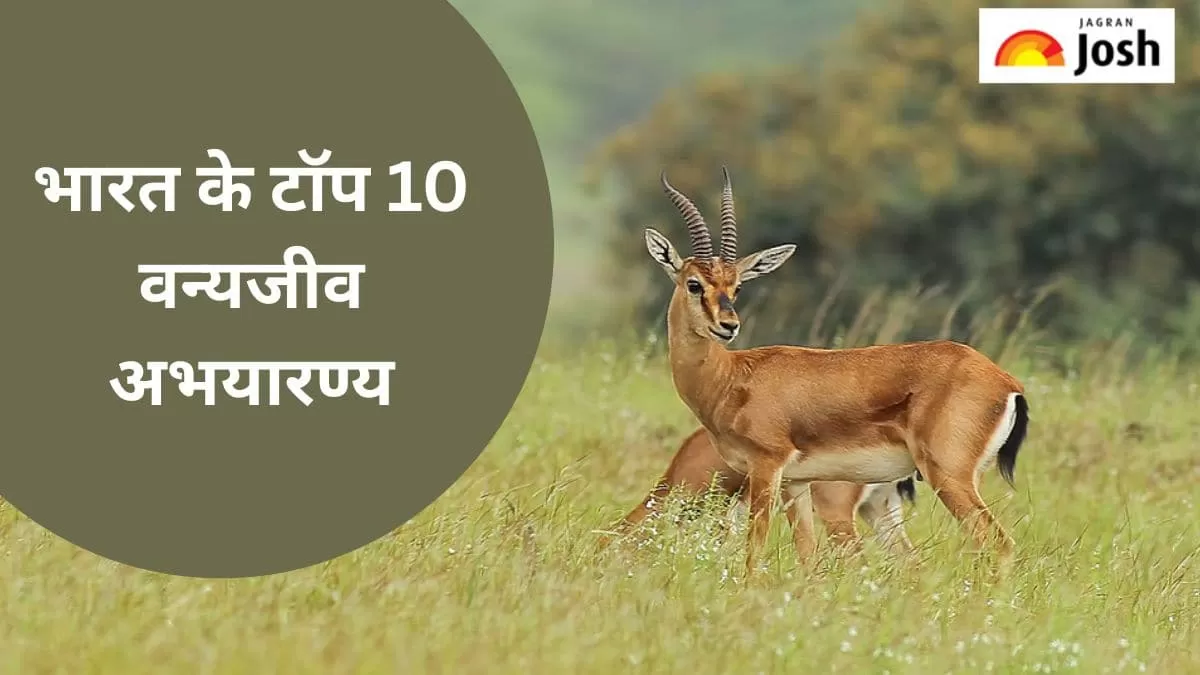 वन्यजीव अभयारण्य 