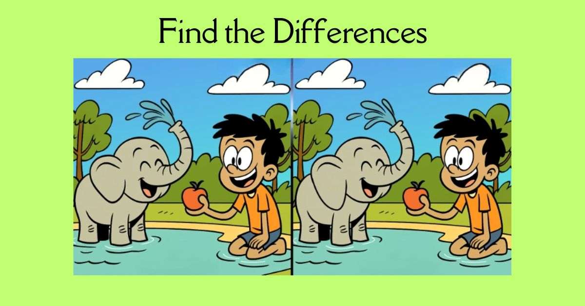 Spot the 3 Differences in Boy Playing With Baby Elephant Beat the 39-Second Challenge!