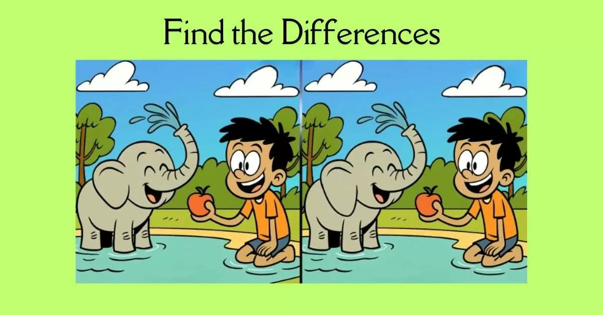 Spot the 3 Differences in Boy Playing With Baby Elephant 