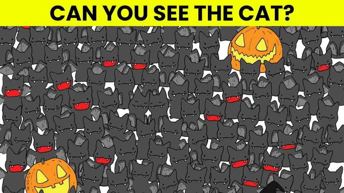 Spot the hidden cat in just 5 seconds.