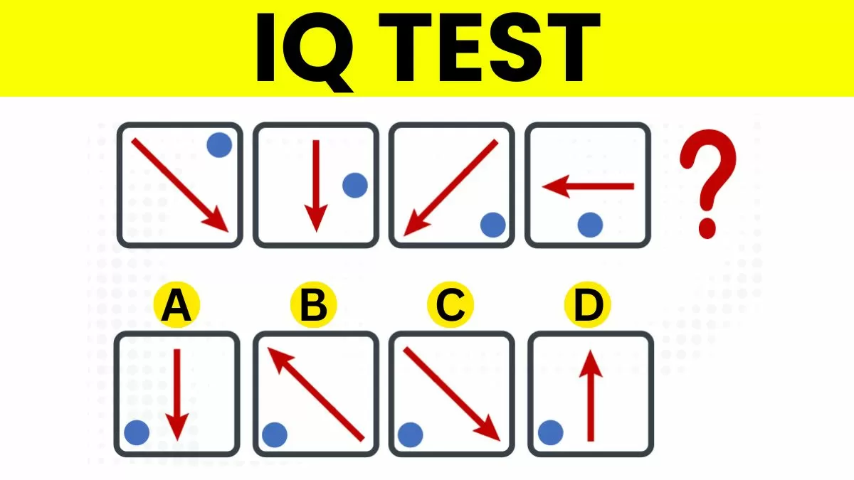 Which is the next figure in the sequence?