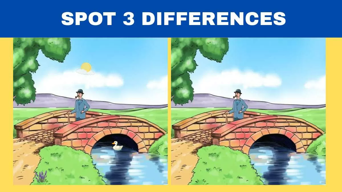 Spot 3 Differences