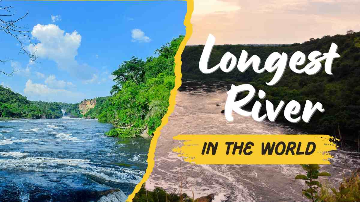 Which is the Longest River in the World? 