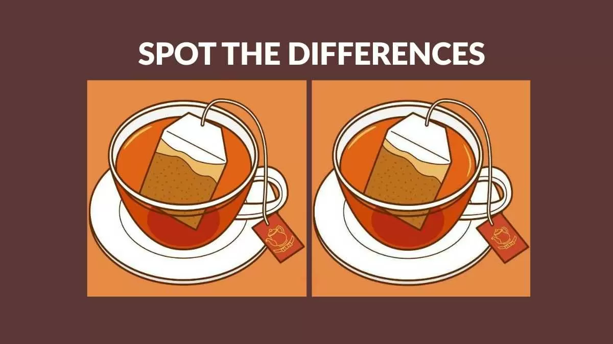 Spot 3 differences in 11 seconds