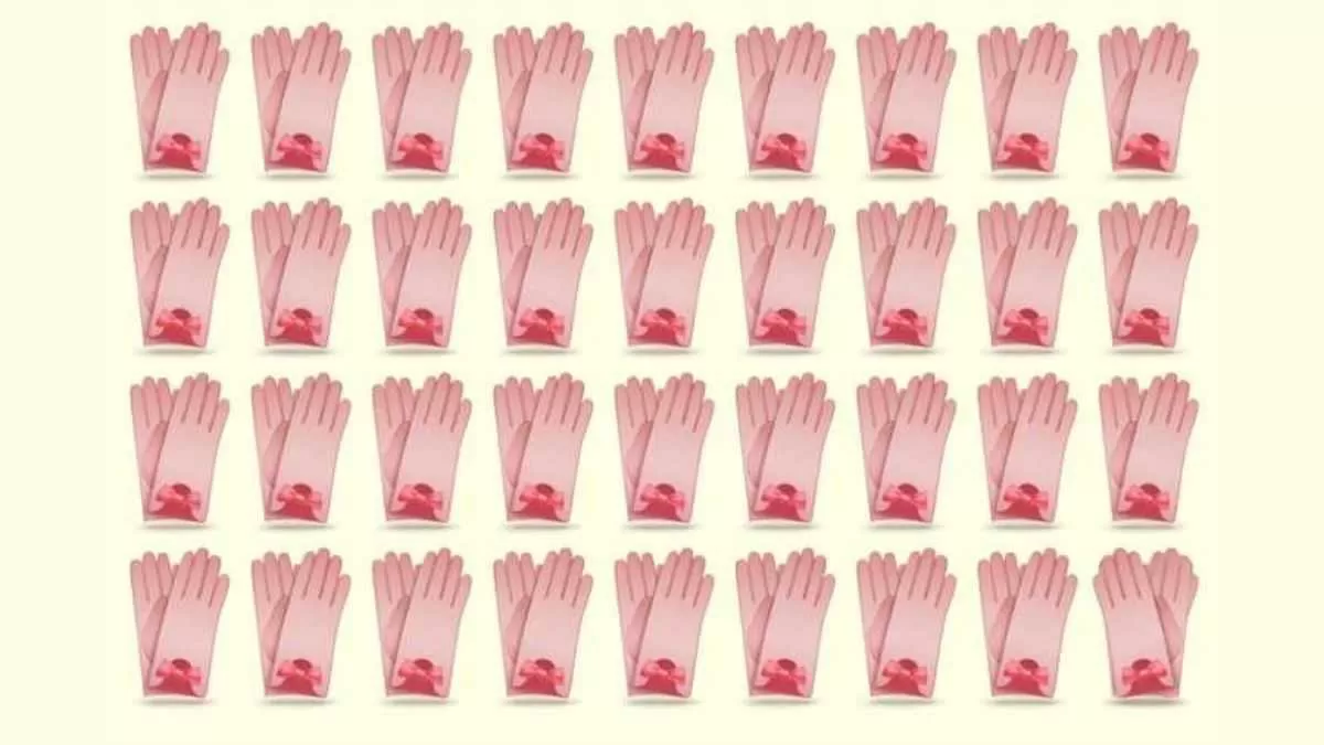Find the odd pair of gloves