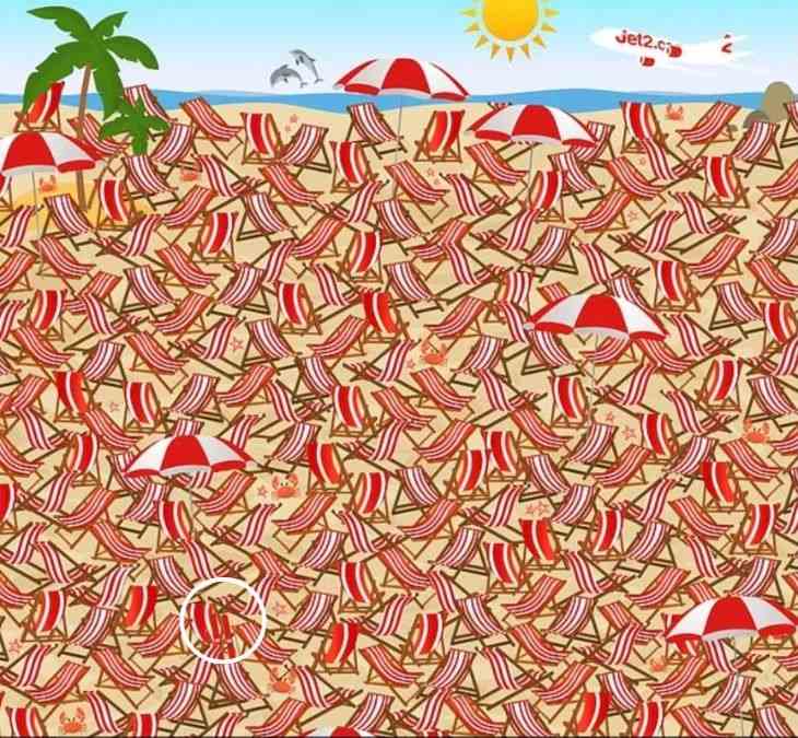 Optical Illusion IQ Test