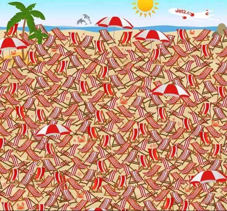 Optical Illusion IQ Test