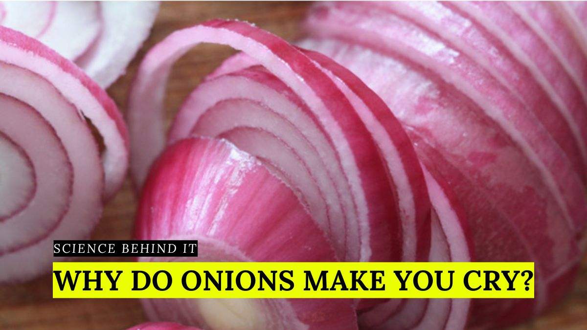Science Behind It: Why Do You Cry When Cutting Onions?