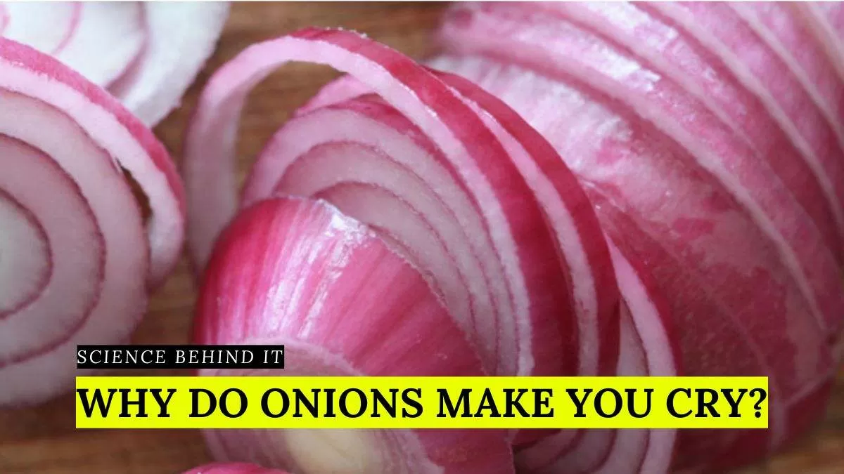 Why do onions make you cry?