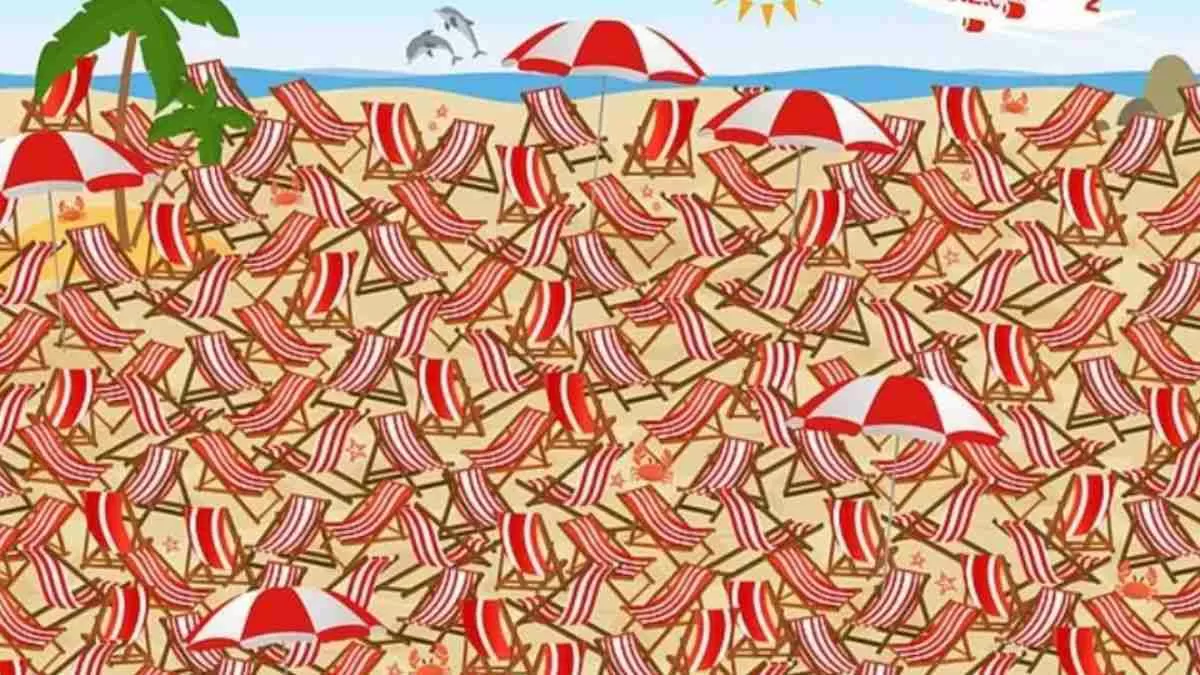 You’ve Got 5 Seconds to Spot the Skis—Go!