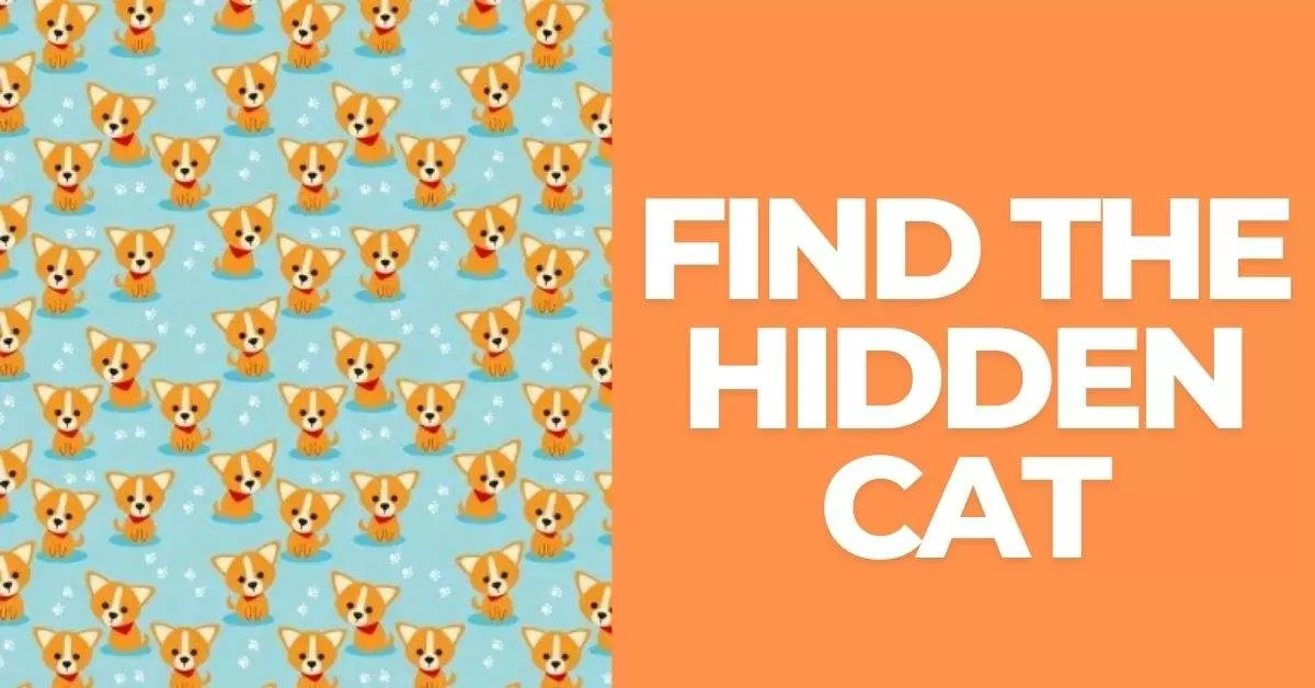 Spot the Hidden Kitten in 7 Seconds