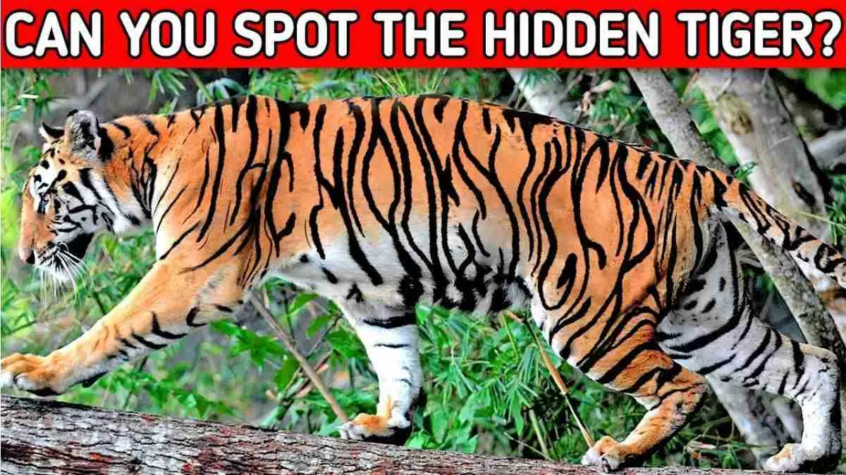  If You See the Hidden Tiger, You’ve Got a Genius-Level Brain!