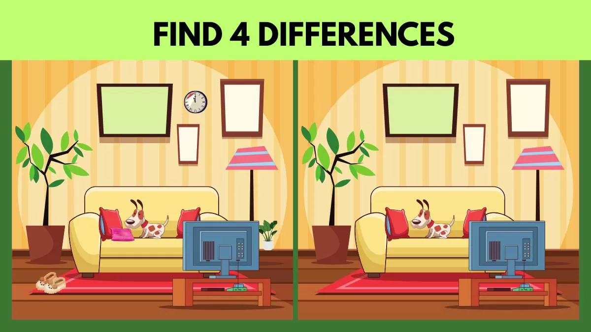 Find 4 Differences