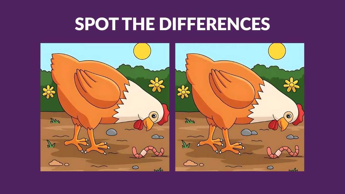 Can you find three differences between the hen pictures in 19 seconds?