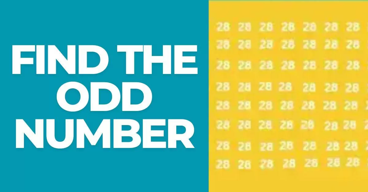 Find the Hidden Number 23 Before Timer Runs Out 